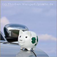Sparschweinderl by Thorben Wengert / pixelio.de